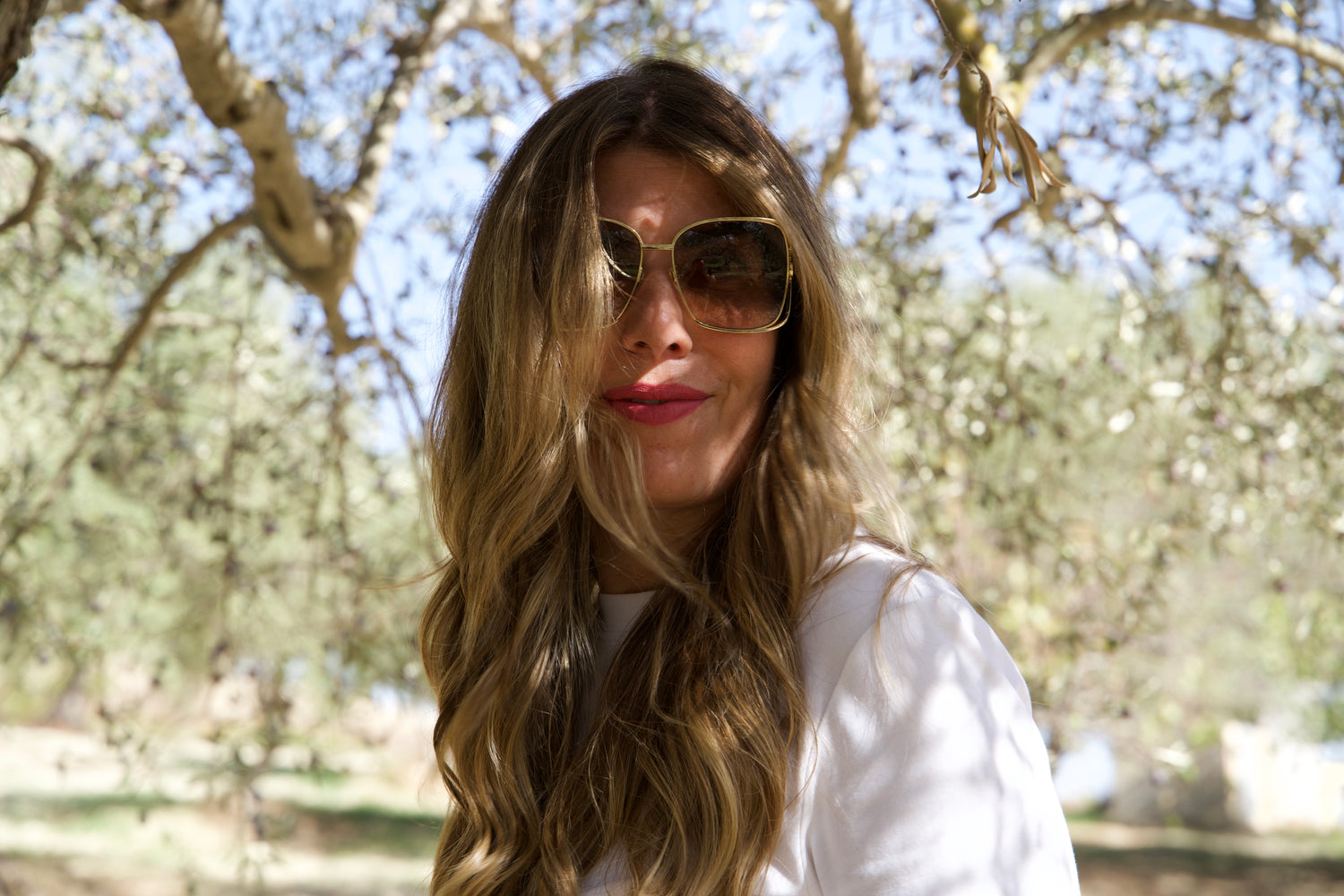 Olivenhain in Sizilien – Tonda Iblea Ernte, Bio-Qualität