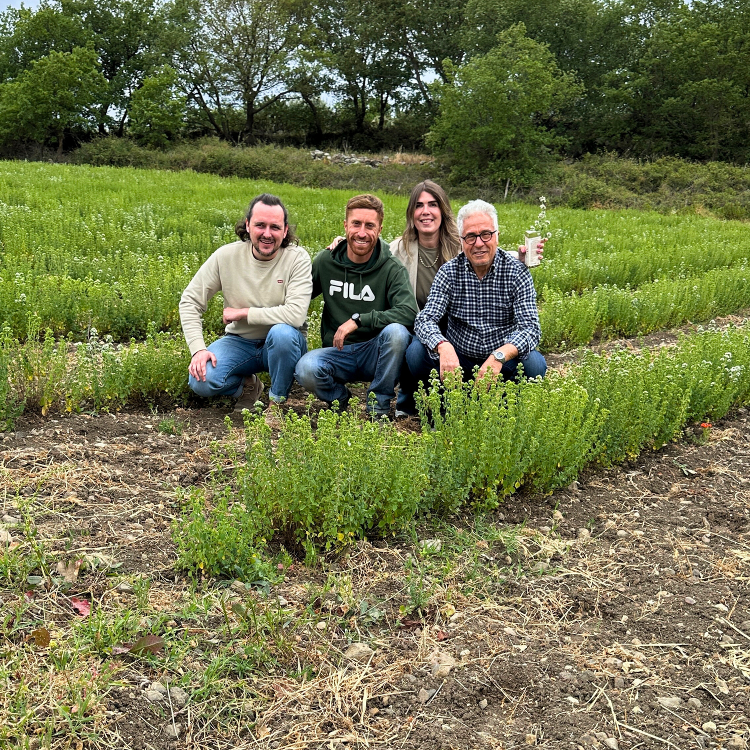 Sizilianisches Oregano (Bio)